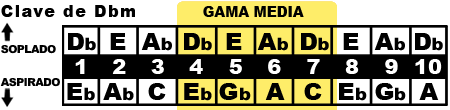 gama media